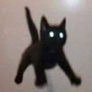 Meet your Posher, Eden